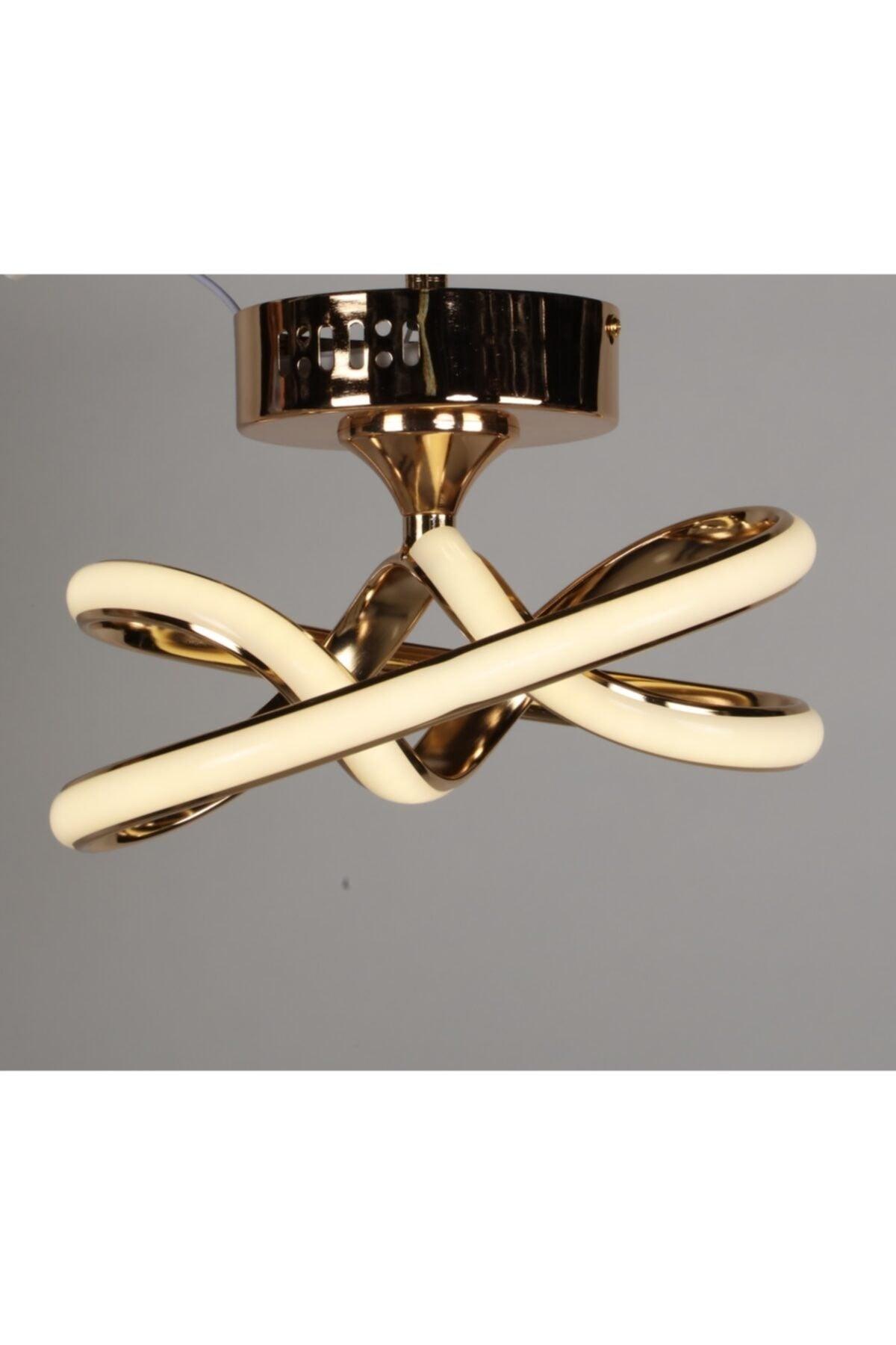 Modern Luxury Stylish Plafonyer Led Gold Led