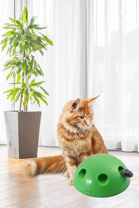 Cat Mouse Catching Toy with Mouse Sound Battery