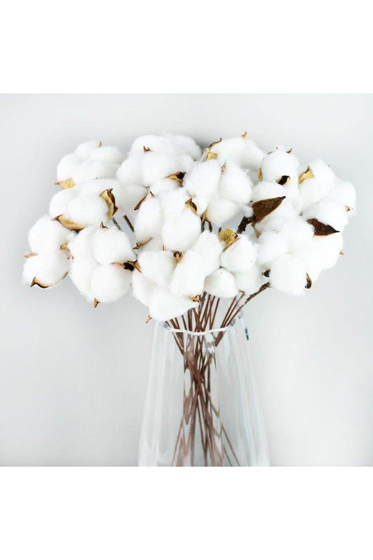 Natural Cotton Flower 10 Pieces Single Branch Dried Flower 30 Cm Artificial Flower - Swordslife