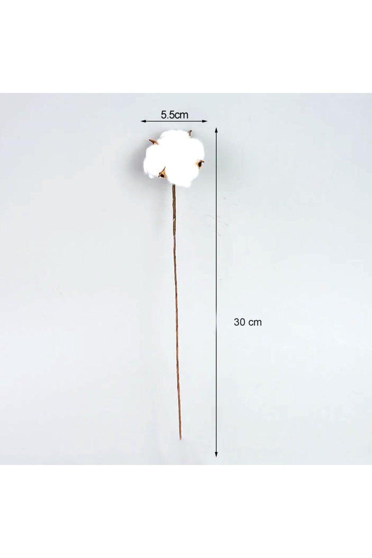 Natural Cotton Flower 10 Pieces Single Branch Dried Flower 30 Cm Artificial Flower - Swordslife