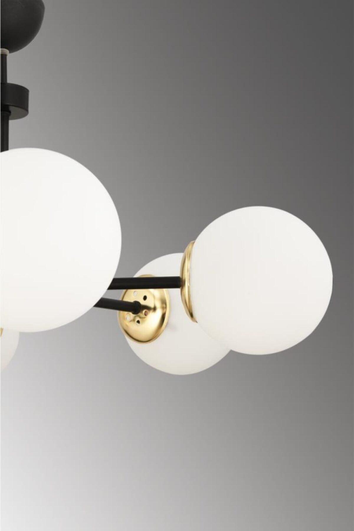 Nisa 5 Black-gold White Globe Glass Chandelier - Swordslife