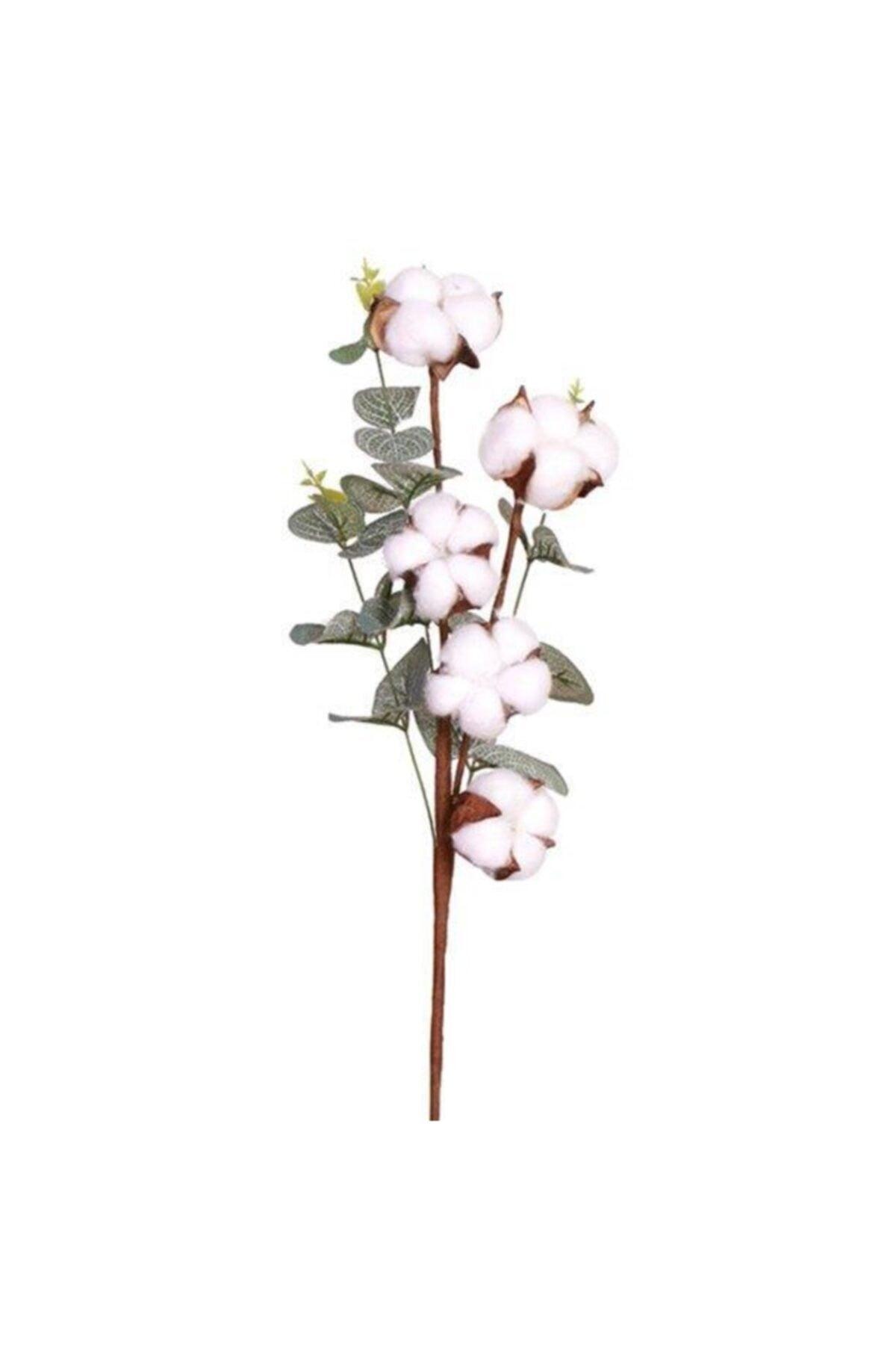 Natural Cotton Flower Branch With Eucalyptus 5 Pieces Dried Flower Artificial Flower - Swordslife