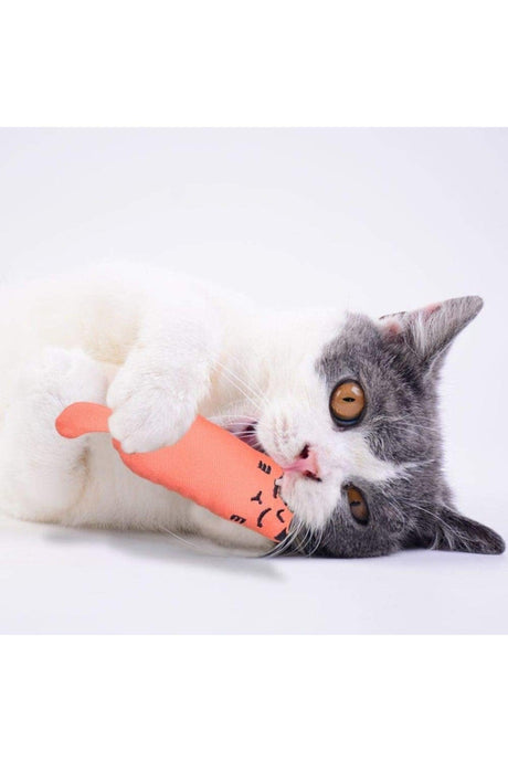 Orange Color Rattle Cat Grassy Cat