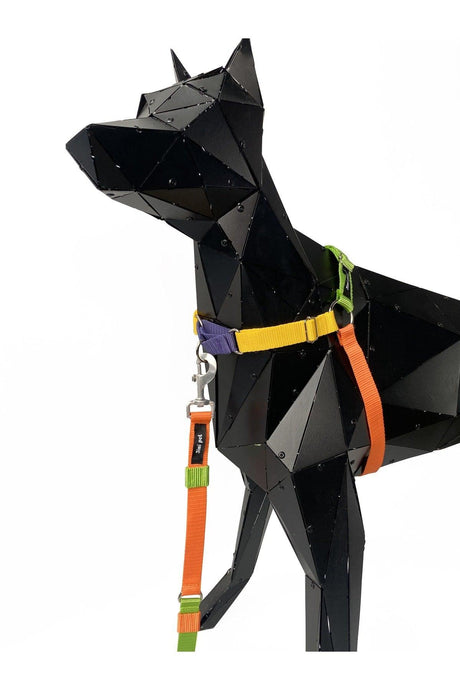 Paco Easy Walk Leash Set