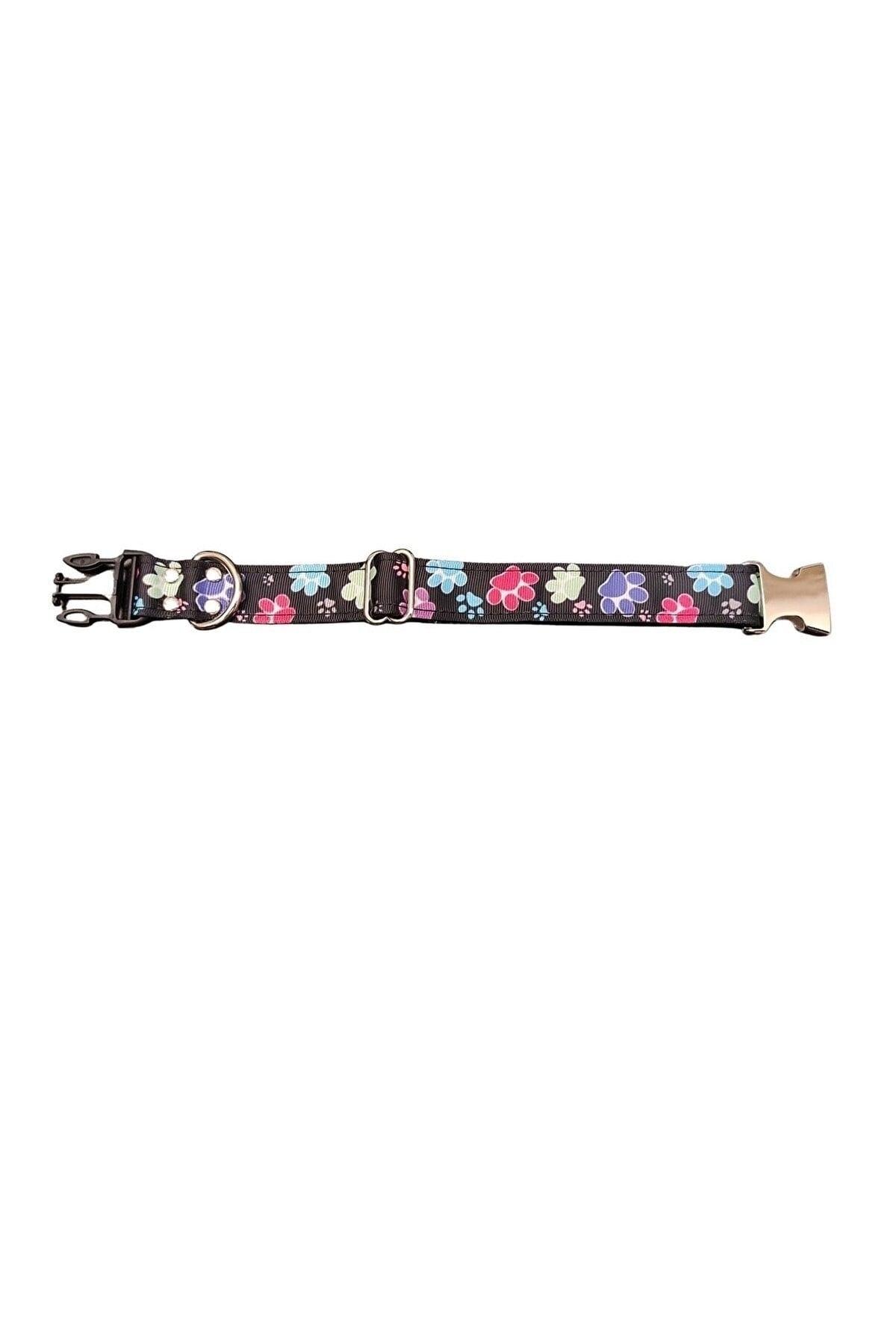 Paw Patterned Dog Collar