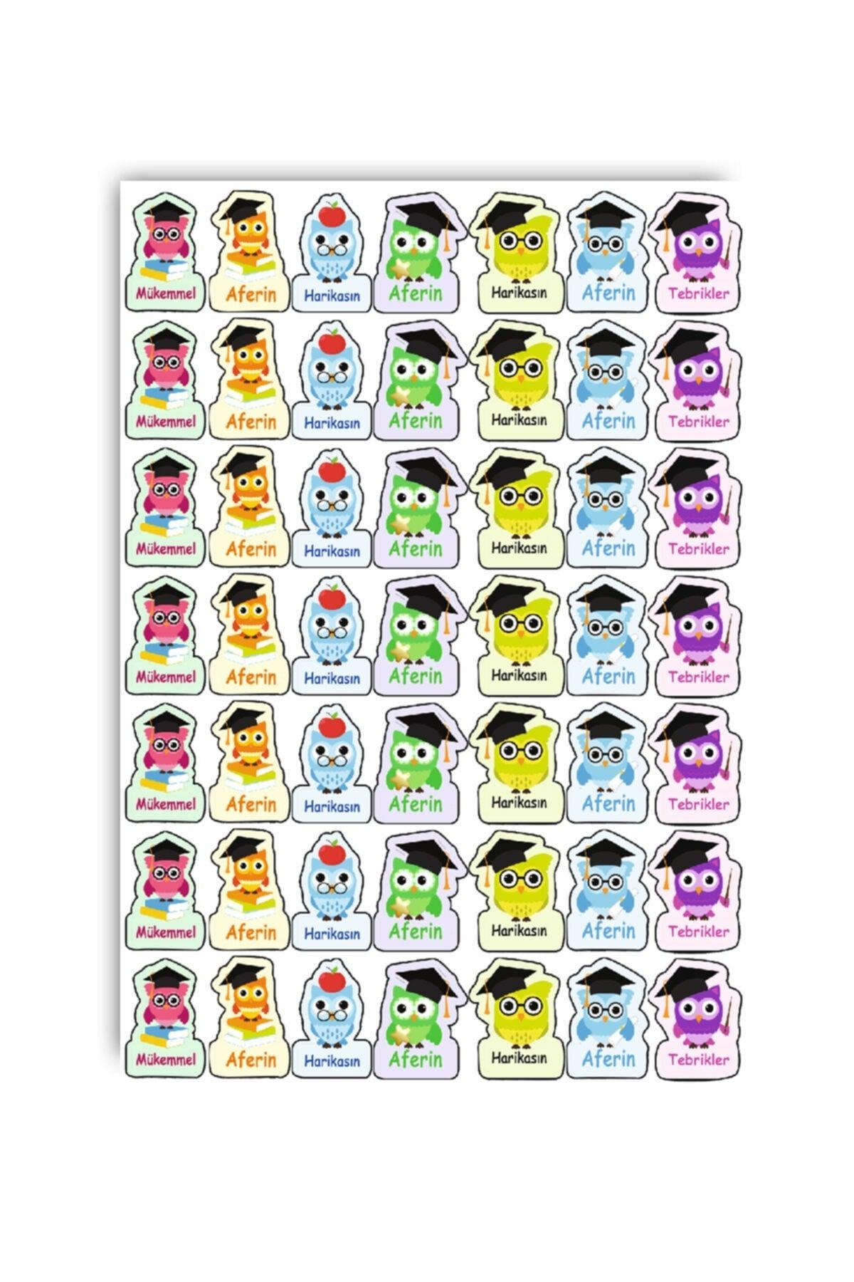 Homework Sticker Owl Sticker Teacher Well done