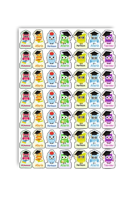 Homework Sticker Owl Sticker Teacher Well done