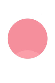 Permanent Makeup Paint 319 Perfect Lip Permanent