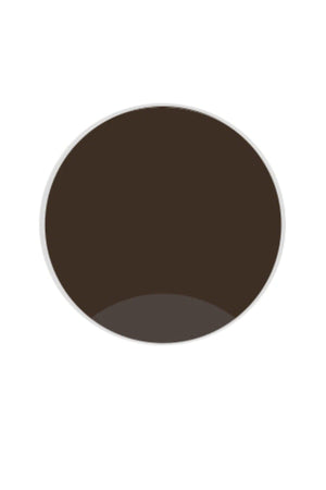 Permanent Makeup Paint Chestnut 299 Permanent