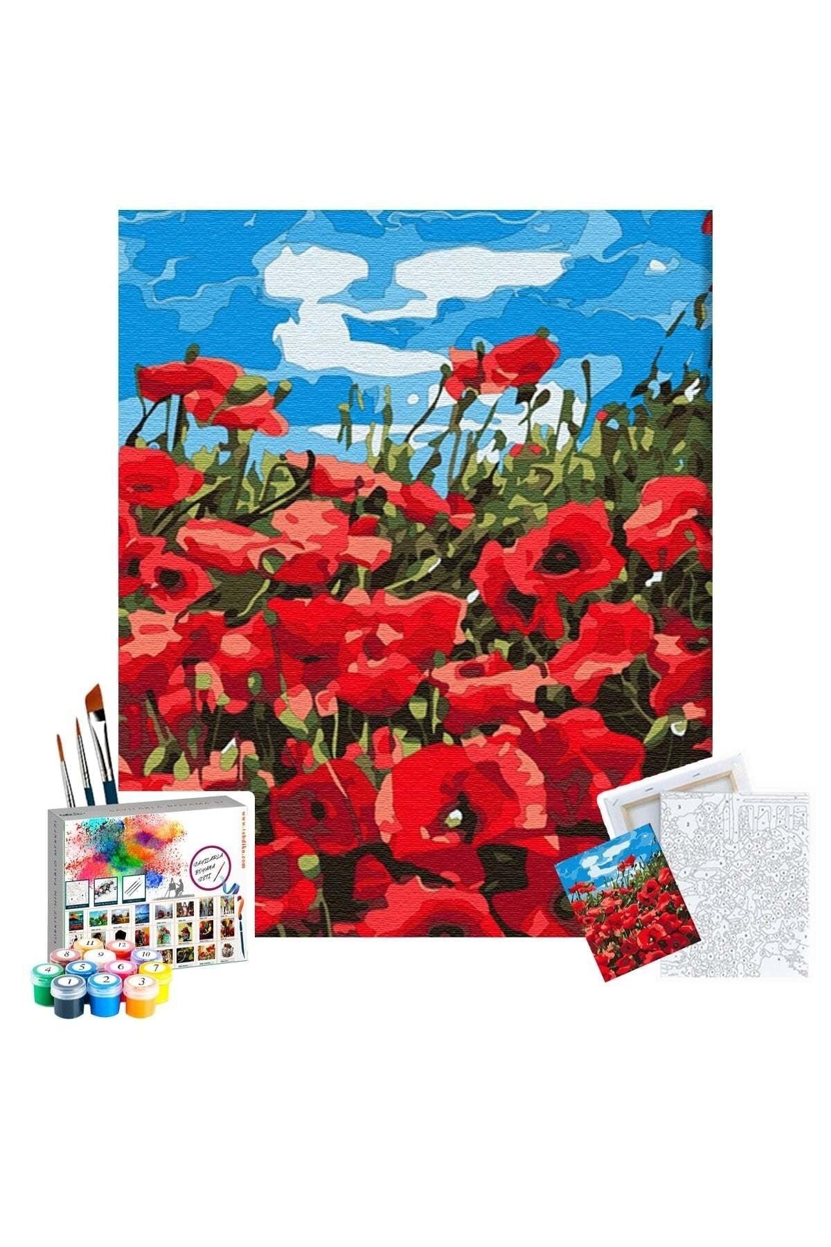 Poppy Field Coloring by Numbers