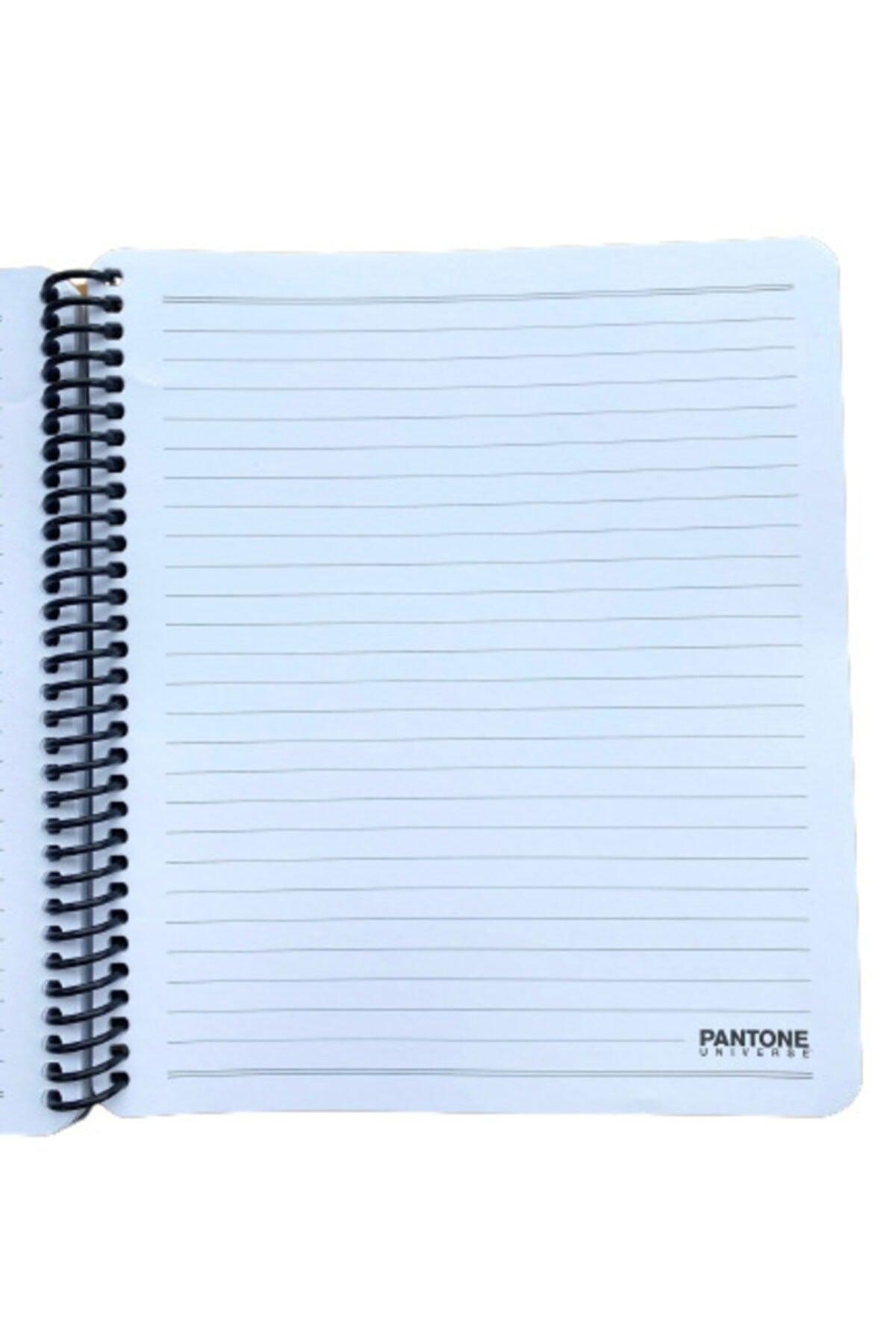 Spiral Large Lined Notebook With Pp Cover