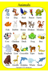 Preschool - Elementary School English Poster Set - Swordslife