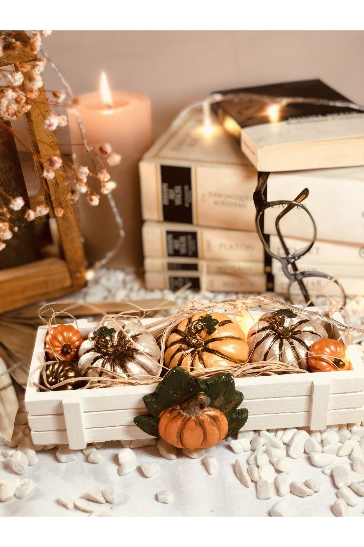 Pumpkin Decoration Set Pumpkin Set Including Concrete Case And Dry Plants - Swordslife