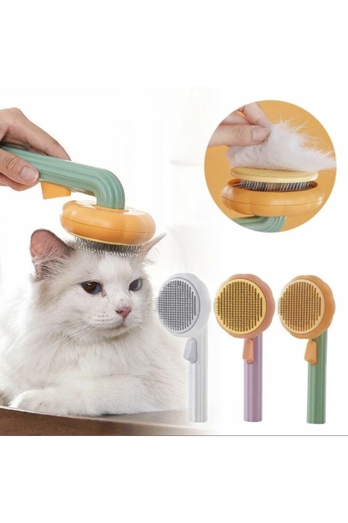 Pumpkin Design Pet Comb with Button