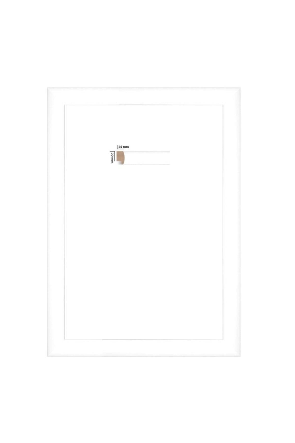 Puzzle Frame 22 Mm 48x68 (1000's) White - Swordslife