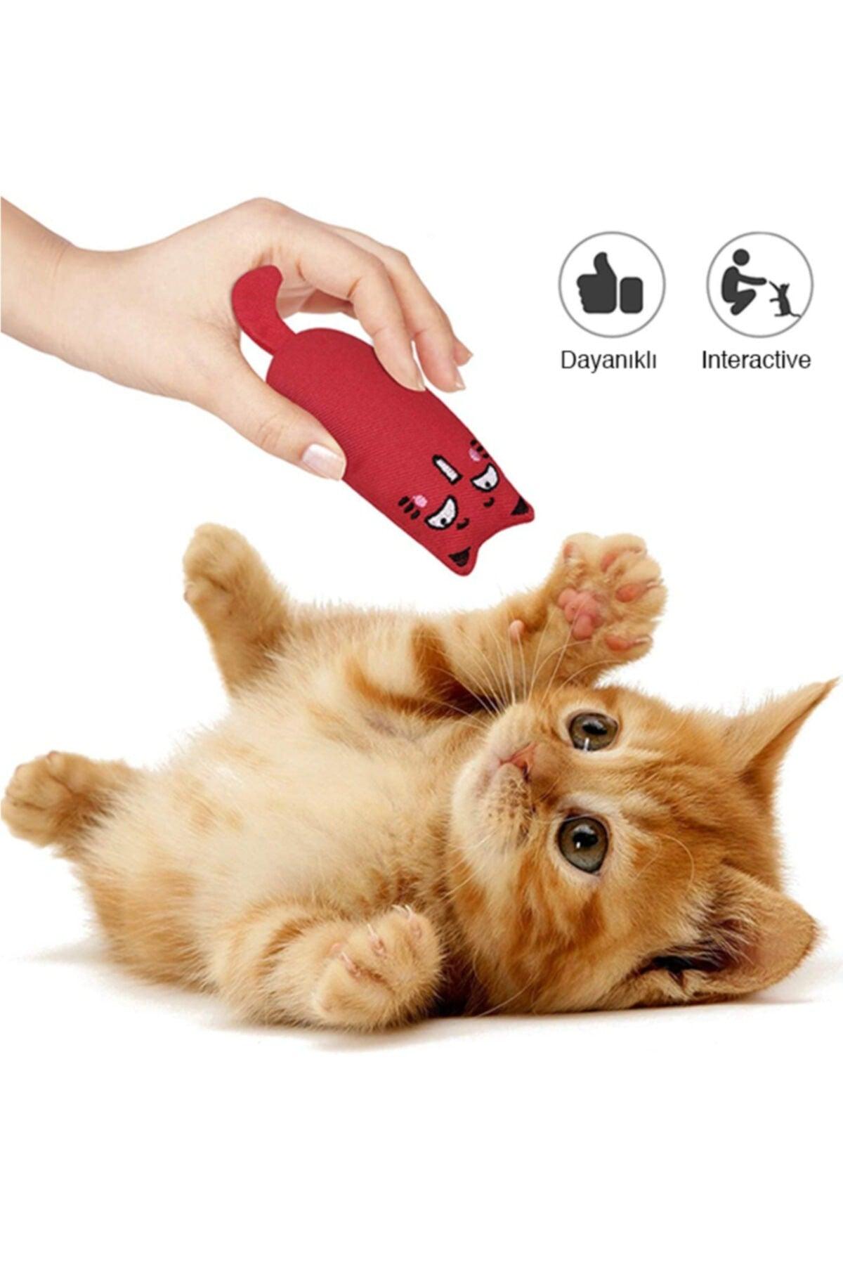 Red Color Rattle Cat Grassy Cat