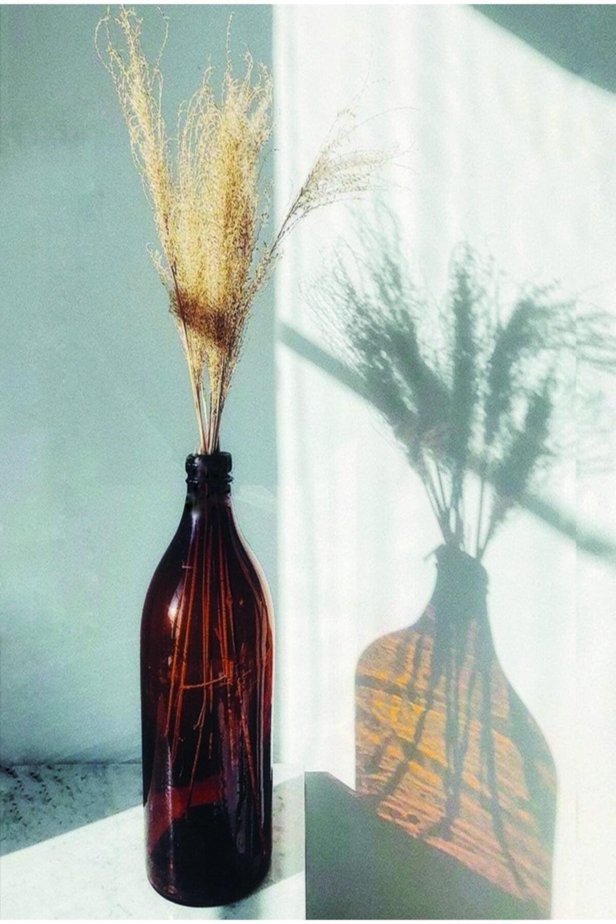 Retro Tall Amber Glass Bottle Vase 500 Ml - Swordslife