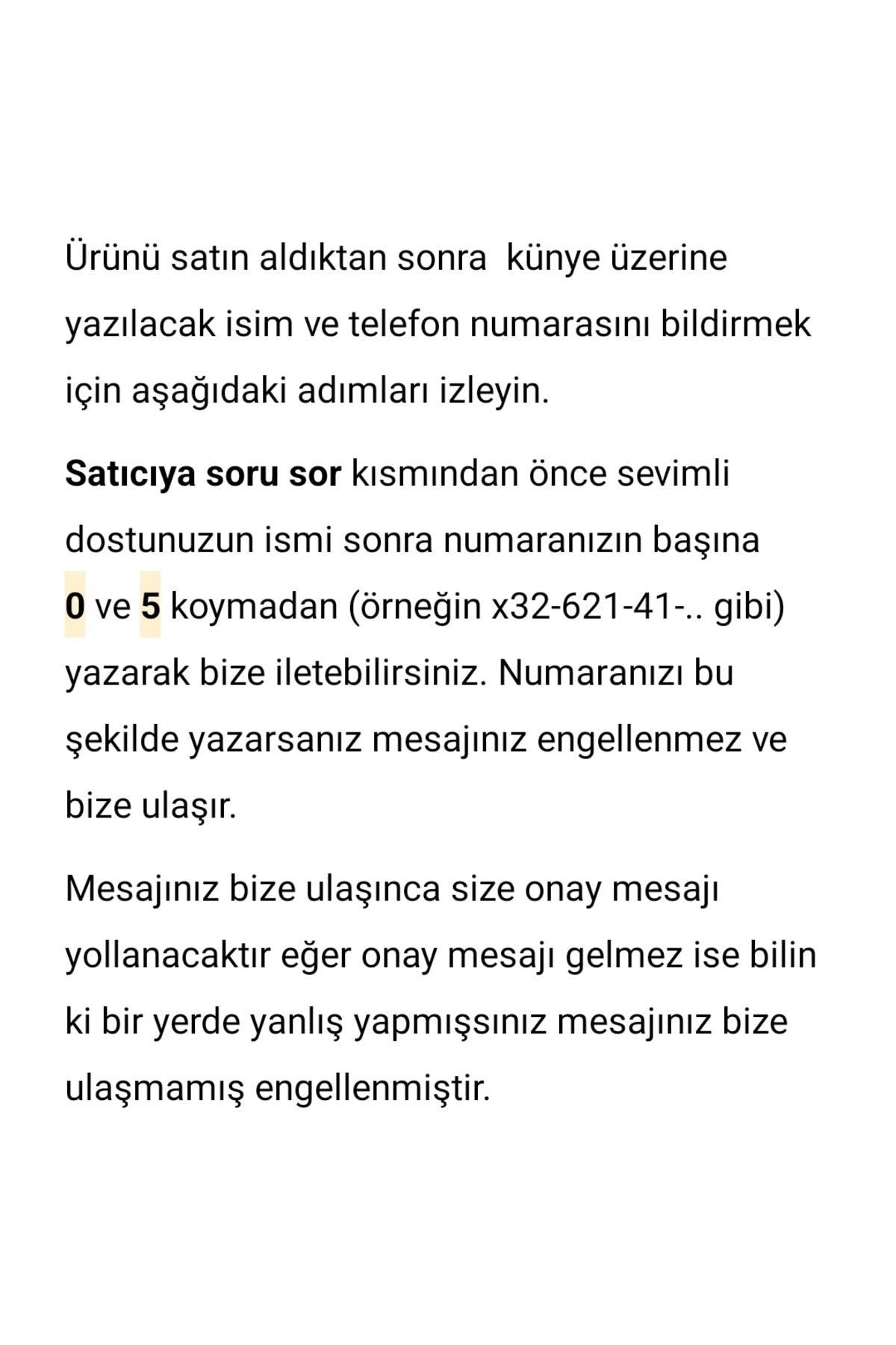 Safety Locked Cat Collar