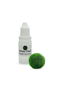 Marimo moss ball with feeding kit for easy care