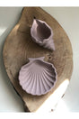 Sea Shell And Oyster Set Dried Rose Color - Swordslife
