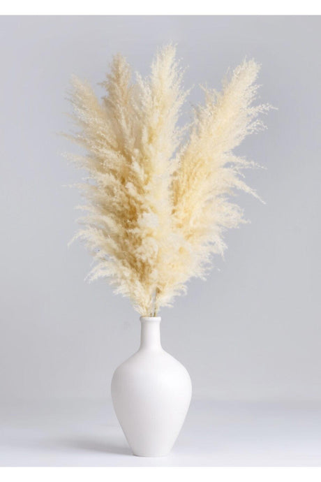 Ceramic Vase And 4 Pieces Pampas White Cream - Swordslife