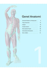 Sobotta, Atlas of Human Anatomy (4 Volumes) (From the 24th German Edition, 12th Latest Turkish Edition,) - Swordslife