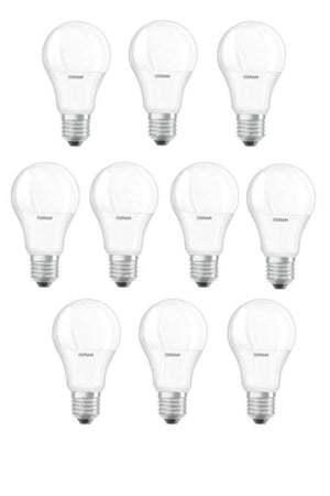 White Light with Socket 8