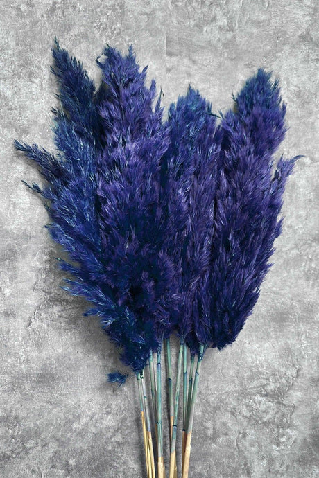 Shocked Blue Color Pampas Bundle of 10 - Swordslife