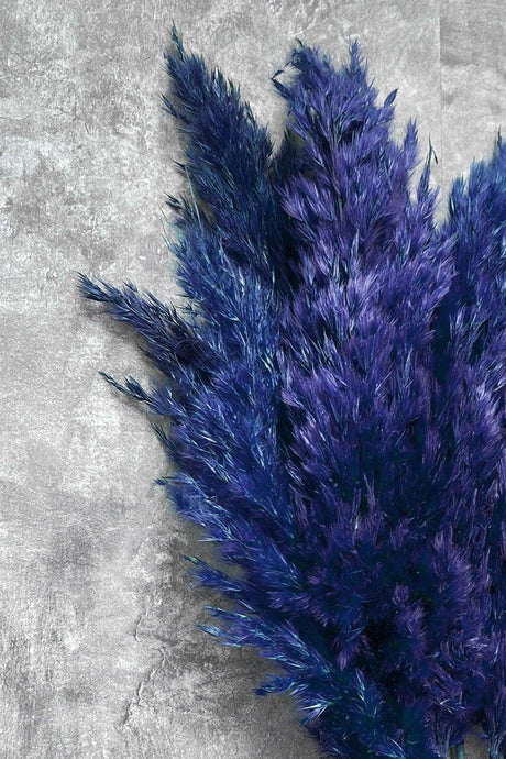 Shocked Blue Color Pampas Bundle of 10 - Swordslife