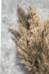 Shocked Natural Color Pampas Bundle of 10 - Swordslife