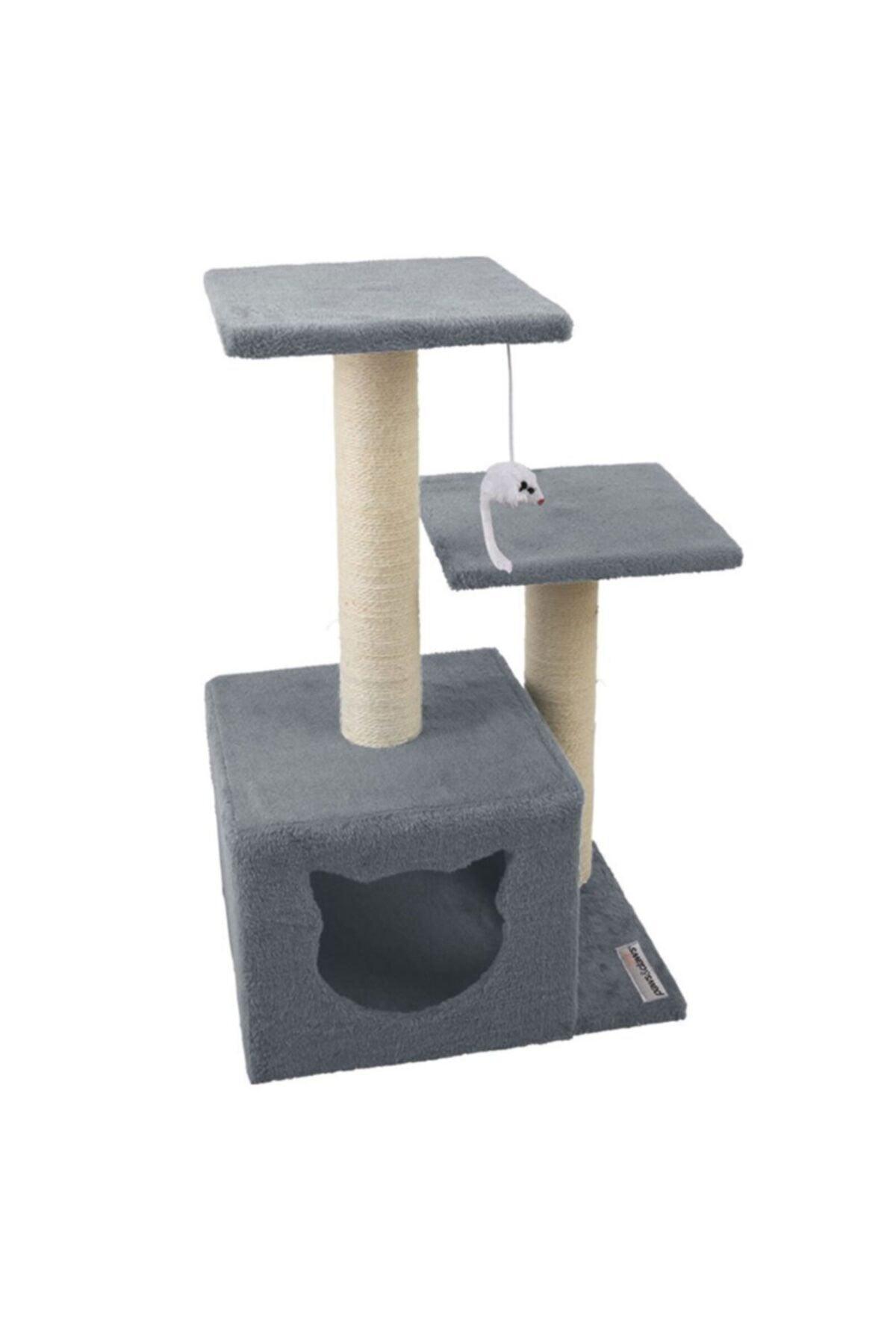 Cat Scratching with Step Slot (Cat