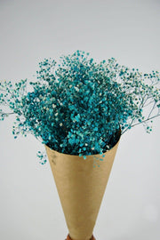 Shocked Blue Color Chips - Swordslife