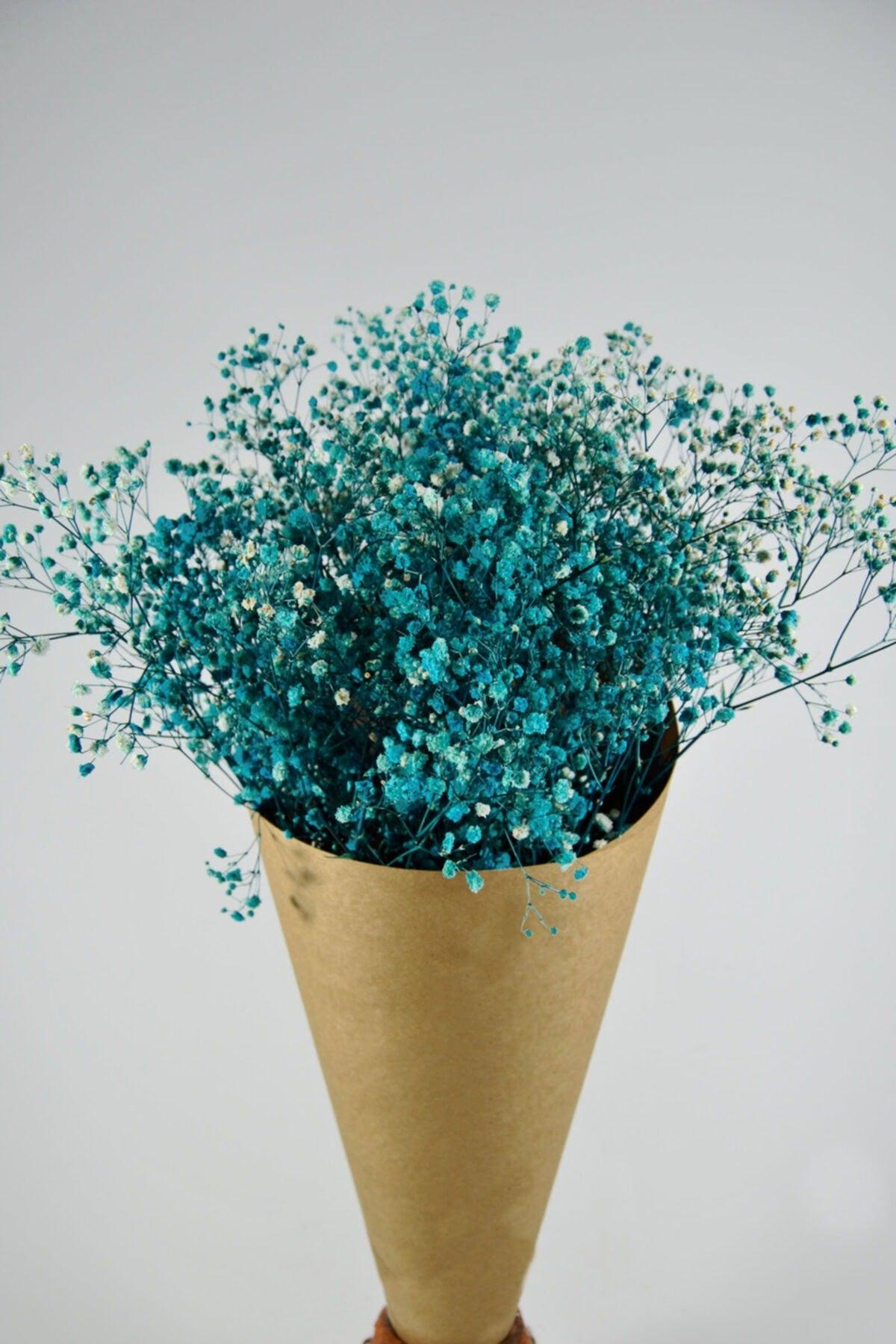 Shocked Blue Color Chips - Swordslife