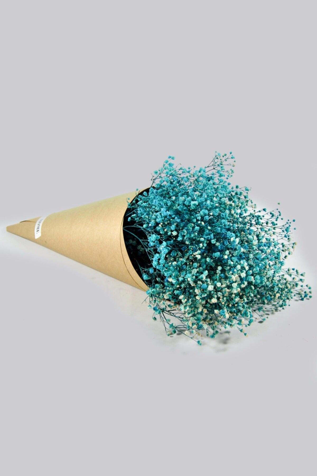 Shocked Blue Color Chips - Swordslife