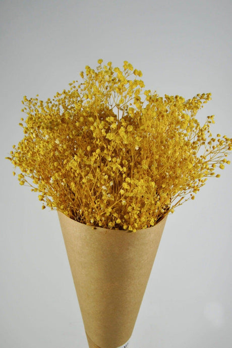 Shocked Yellow Colored Chips - Swordslife