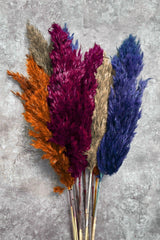 Shocked Autumn Model Colorful Pampas Bundle 10 Pcs - Swordslife