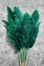 Shocked Emerald Green Color Pampas Bundle of 10 - Swordslife