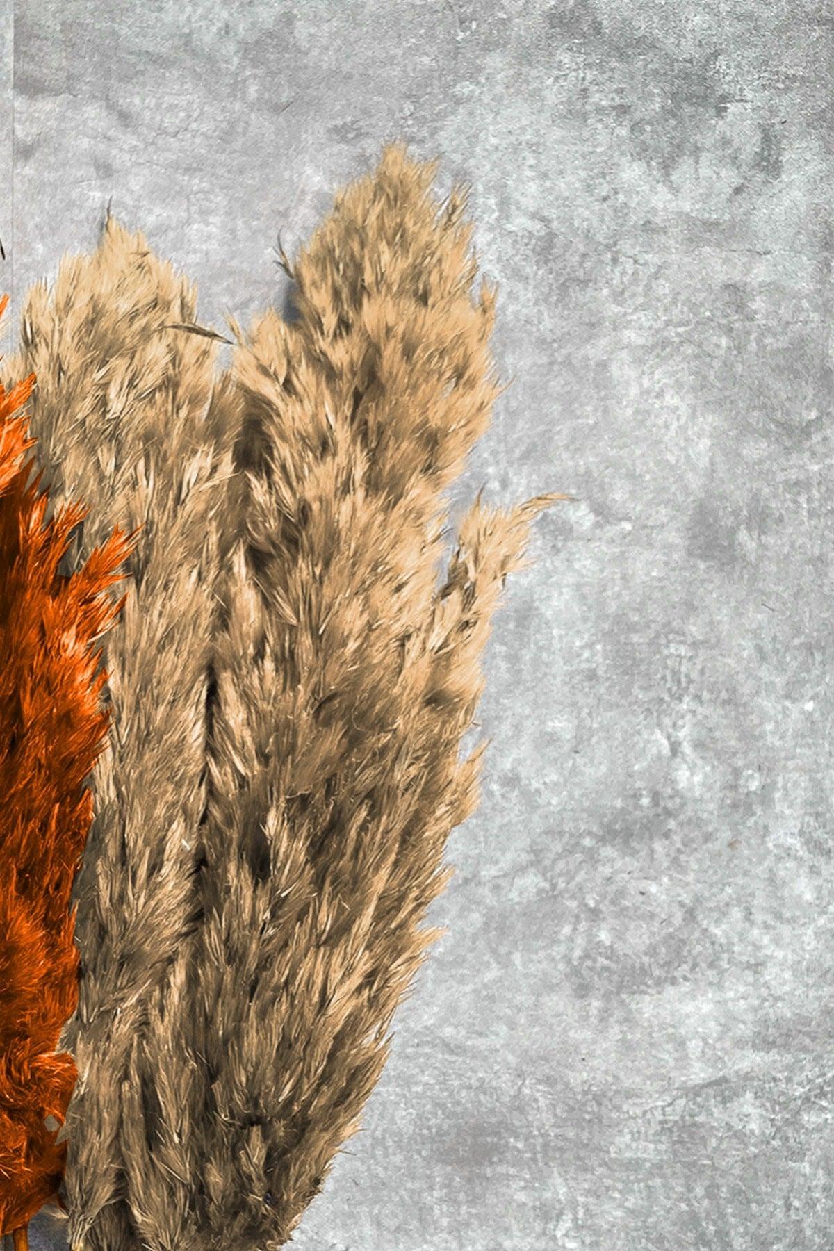 Shocked Orange Natural Color Pampas Bundle of 10 - Swordslife