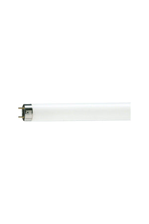 Tl-d 36w/865 120 Cm White Color 5 Pieces