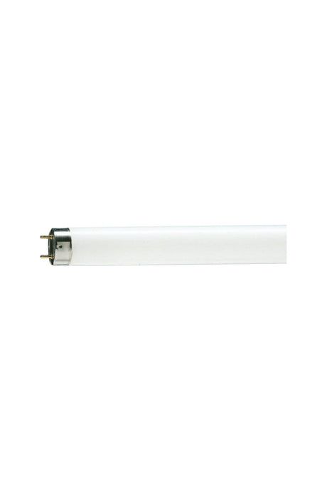 Tl-d 36w/865 120 Cm White Color 5 Pieces