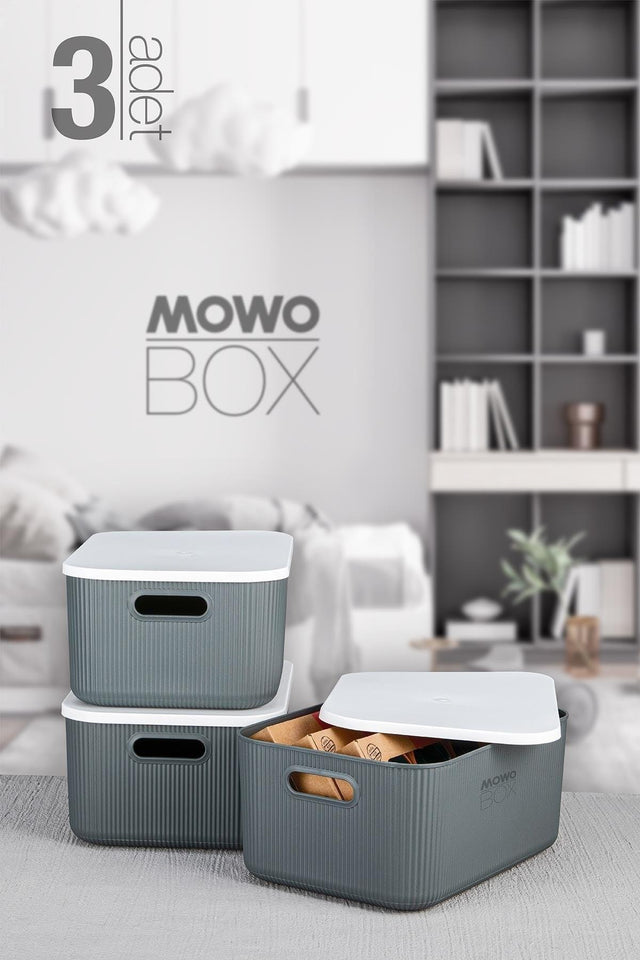 Trove 3 Pieces 13.4 Lt (gray) Organizer Box with Lid, Decorative Storage Box - Swordslife