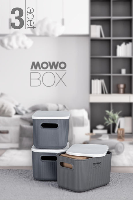 Trove 3 Pieces 6.2 Lt (gray) Organizer Box with Lid, Decorative Storage Box - Swordslife