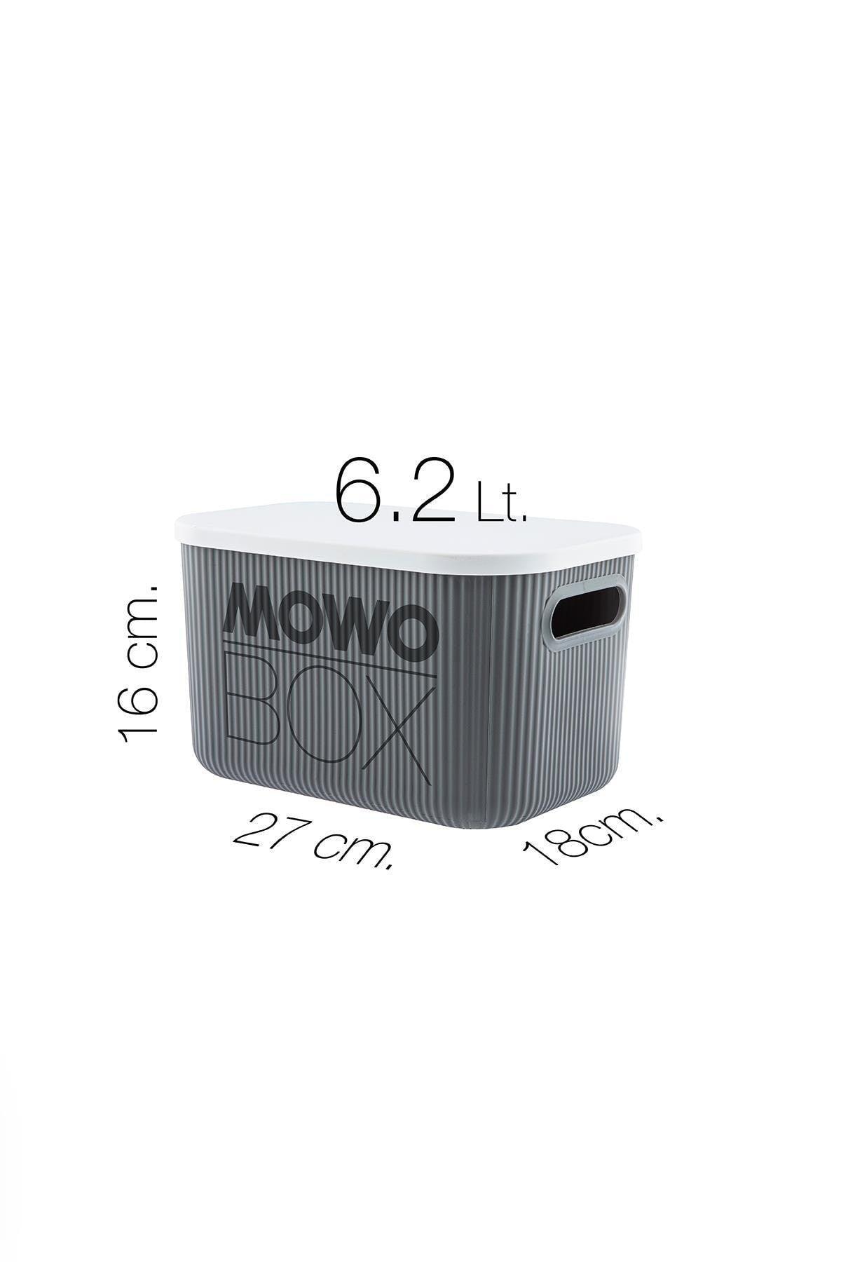 Trove 3 Pieces 6.2 Lt (gray) Organizer Box with Lid, Decorative Storage Box - Swordslife