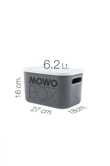Trove 3 Pieces 6.2 Lt (gray) Organizer Box with Lid, Decorative Storage Box - Swordslife