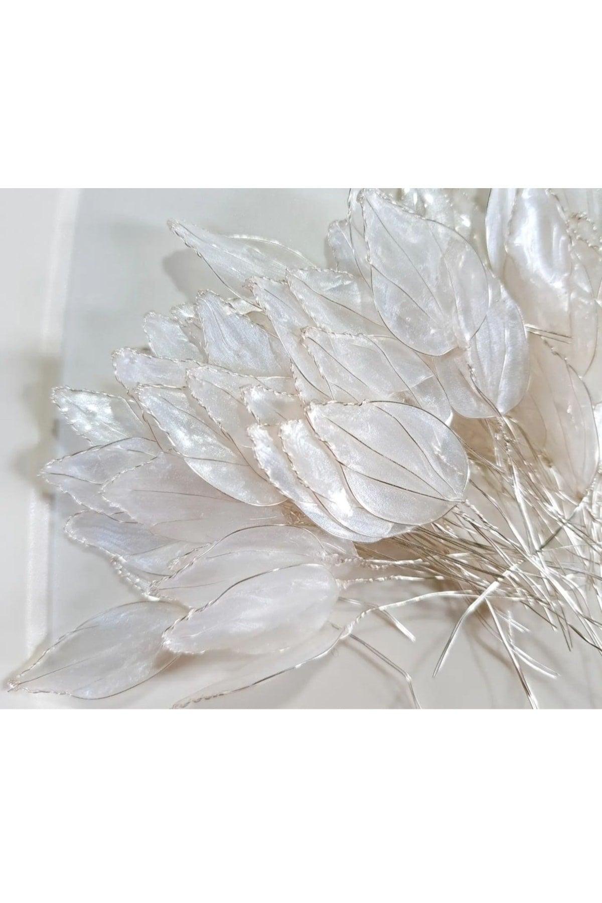 Uv Dip Resin Pearl White 50 Ml