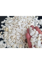 White Stone 2 Kg 1-2 Cm White Dolomite Stone Stream Stone Pebble Stone Garden Ornamental Stone Aquarium Terrarium Stone - Swordslife