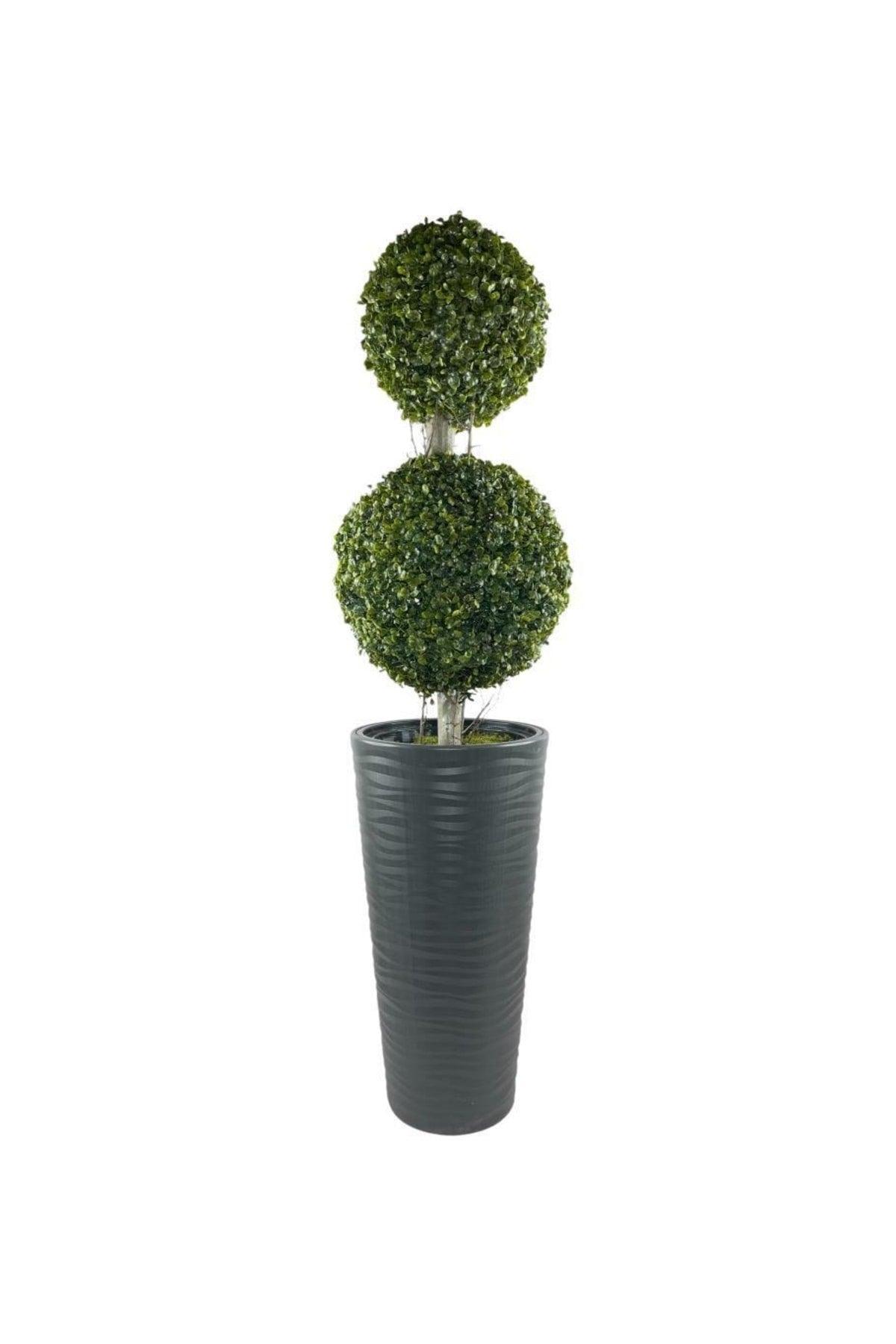 Artificial Tree Anthracite Long Beach Vase Boxwood Top 2 Bulk 130cm - Swordslife