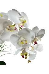 Artificial Flower 2 Piece White Wet Orchid Ceramic Pot Orchid 60cm - Swordslife
