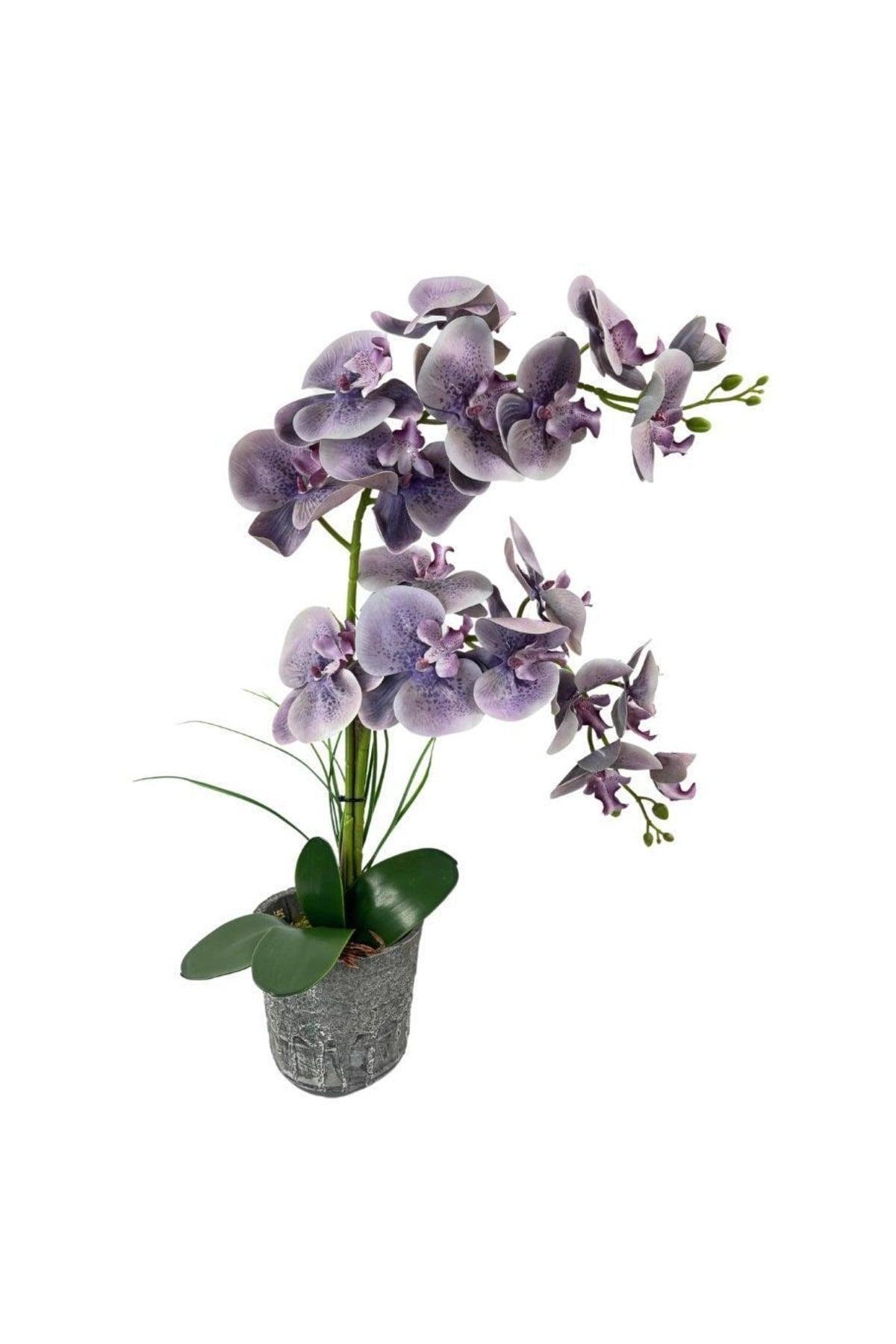 Artificial Flower 2 Gray Lilac Wet Orchid Ceramic Pot Orchid 60cm - Swordslife