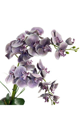 Artificial Flower 2 Gray Lilac Wet Orchid Ceramic Pot Orchid 60cm - Swordslife